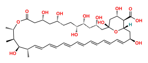 Amphoteronolide B