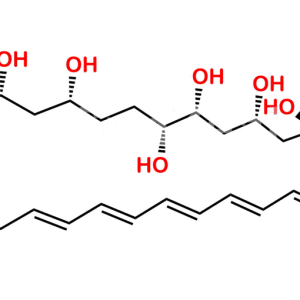 Amphoteronolide B