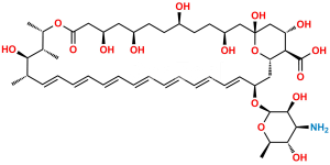 Amphotericin B Impurity 1