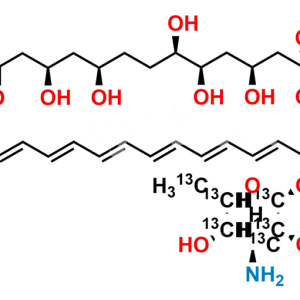 Amphotericin B-13C6