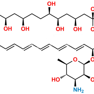 Amphotericin B Methyl Ester D3