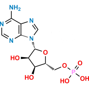 5'-Adenylic Acid