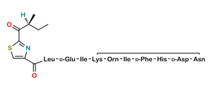 Bacitracin EP Impurity E