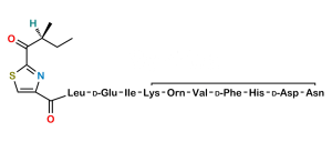 Bacitracin EP Impurity G