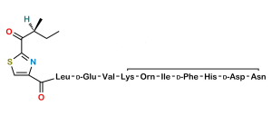 Bacitracin EP Impurity H