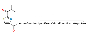 Bacitracin EP Impurity I