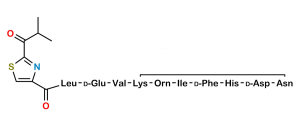 Bacitracin EP Impurity J
