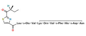 Bacitracin EP Impurity K