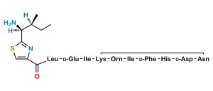 Bacitracin EP Impurity M