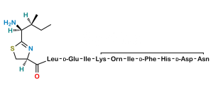 Bacitracin EP Impurity N