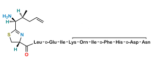 Bacitracin EP Impurity Q