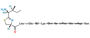 Bacitracin EP Impurity O