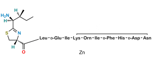 Bacitracin Zinc
