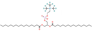 Dipalmitoylphosphatidylcholine-d9