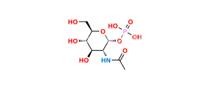 N-Acetyl-Î±-D-Glucosamine-1-Phosphate