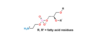Phosphatidylethanolamine
