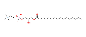 1-Palmitoyl-sn-Glycero-3-Phosphocholine