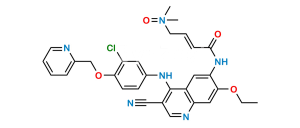 Neratinib Dimethylamine N-Oxide (M7)