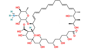 Carboxylate Ion of Nystatin