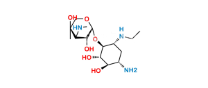 Netilmicin EP Impurity B
