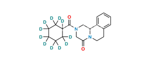 Praziquantel D11