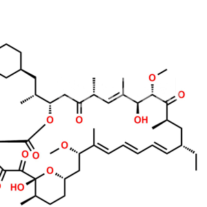 33-Ethyl Rapamycin