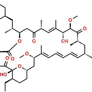 11-Ethyl Rapamycin