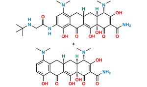 Tigecycline Minocycline