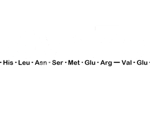 Teriparatide Succinimide