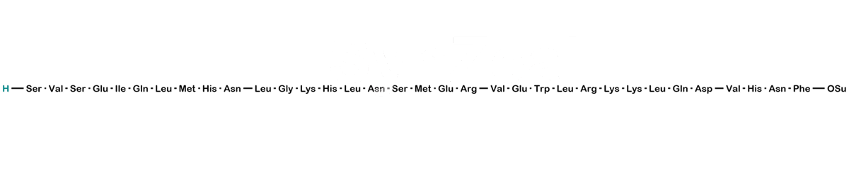 Teriparatide Succinimide